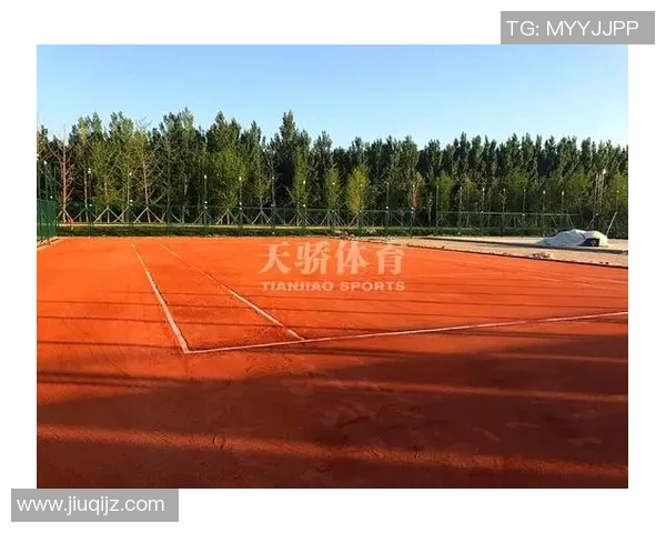 武汉网球队阵地战解析网球热点背后的战略与挑战 武汉网球队阵地战解析网球热点背后的战略与挑战